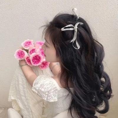 苏乞儿